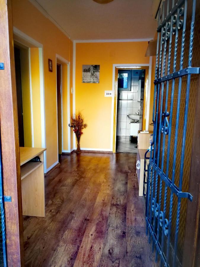 Apartments Anita ซริกเวนิซา ภายนอก รูปภาพ